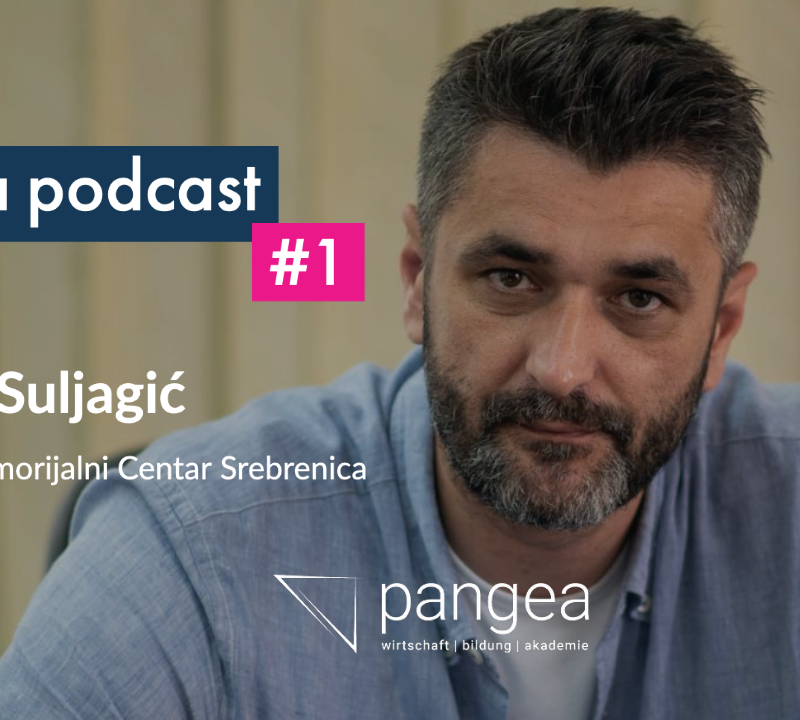 pangea interview Emir Suljagic Youtube 1 800x720 - pangea | magazin - news